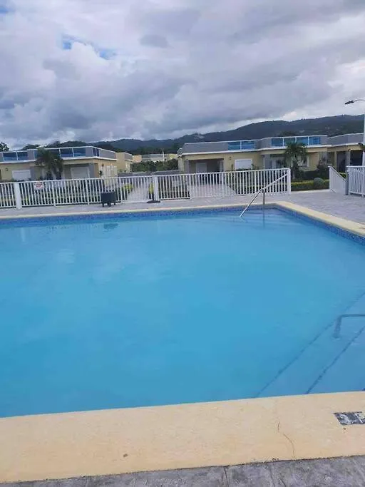 Exclusive Holidays At The Marina Villas Saint Ann's Bay